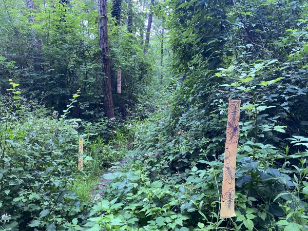 2km4, pour une écologie joyeuse / temps de partage