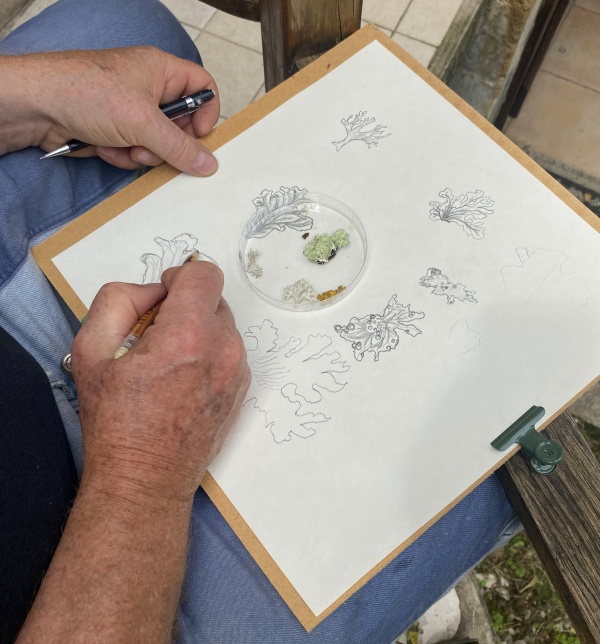 Incumbo, atelier été culturel