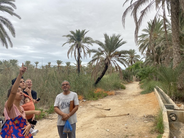 Est-ce que les arbres rêvent de CO2 ? Résidence de recherche / Tunisie