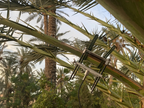 Do trees dream of CO2? Resarch residency / Tunisia