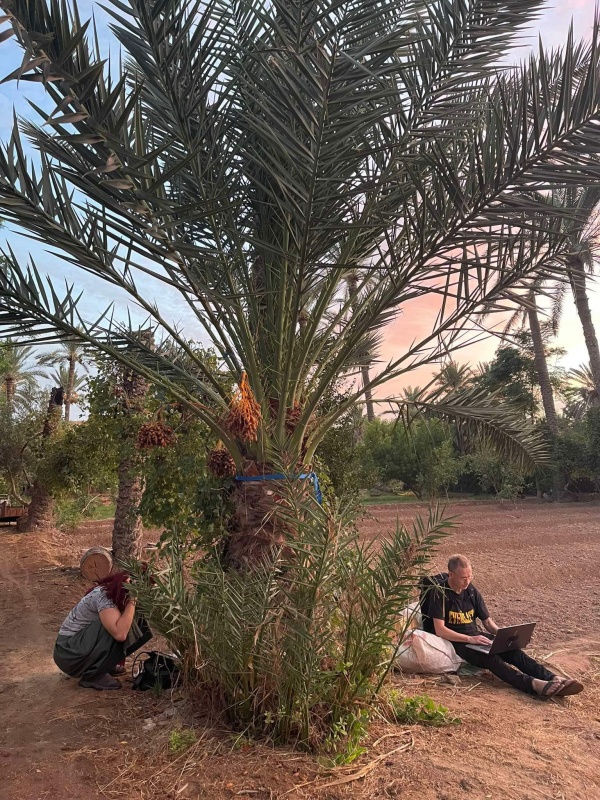 Est-ce que les arbres rêvent de CO2 ? Résidence de recherche / Tunisie