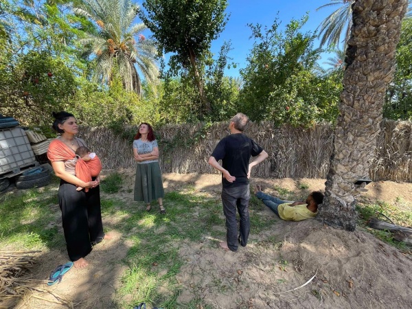 Do trees dream of CO2? Resarch residency / Tunisia