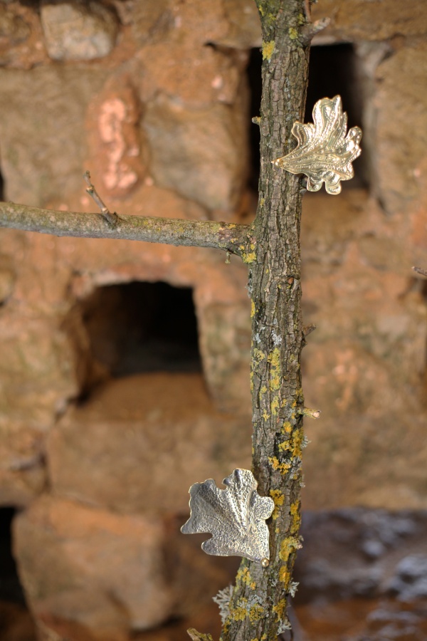 Incumbo, lean on soils and lichens