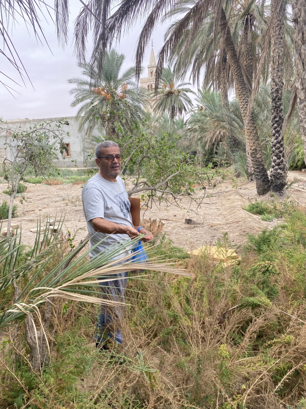 Est-ce que les arbres rêvent de CO2 ? Résidence de recherche / Tunisie